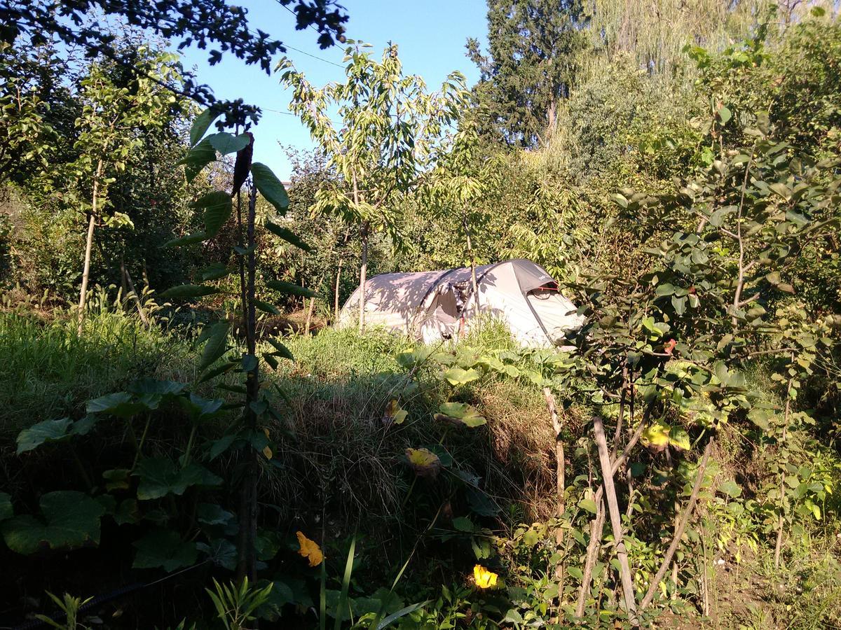 Camping Late Gjirokastër Eksteriør bilde